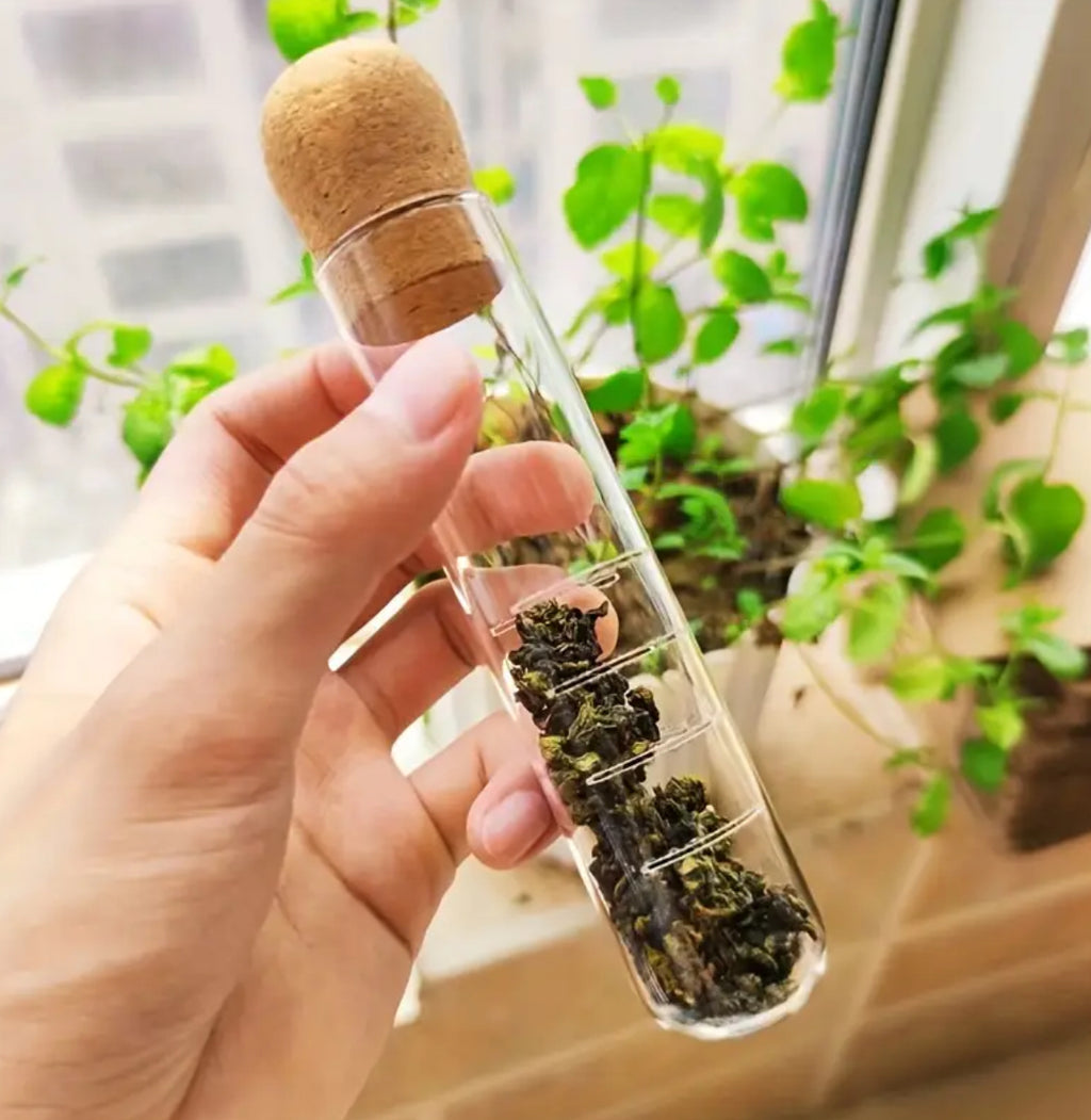 Glass Tea Brewer & Strainer