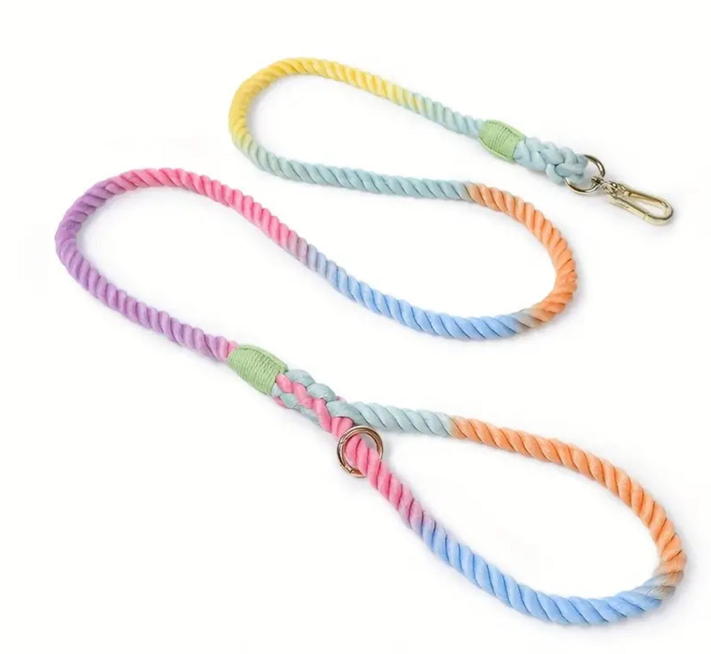 Dog Lead